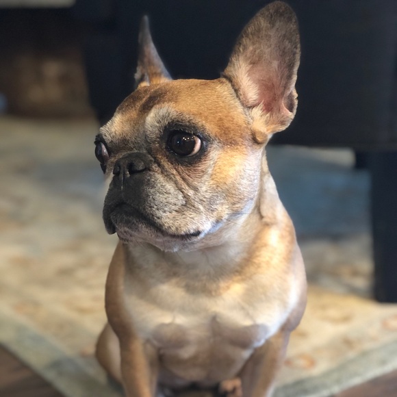 brianwmilot